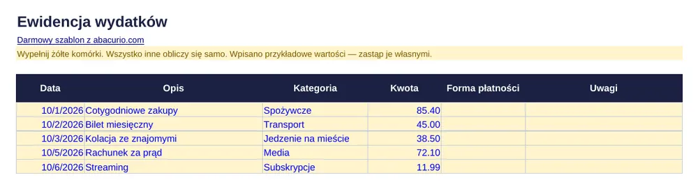 Podgląd szablonu: Ewidencja wydatków